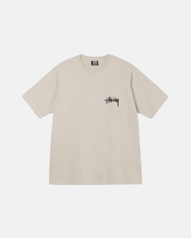 Beige Men's Stussy Diced Out T Shirts | CA0000160