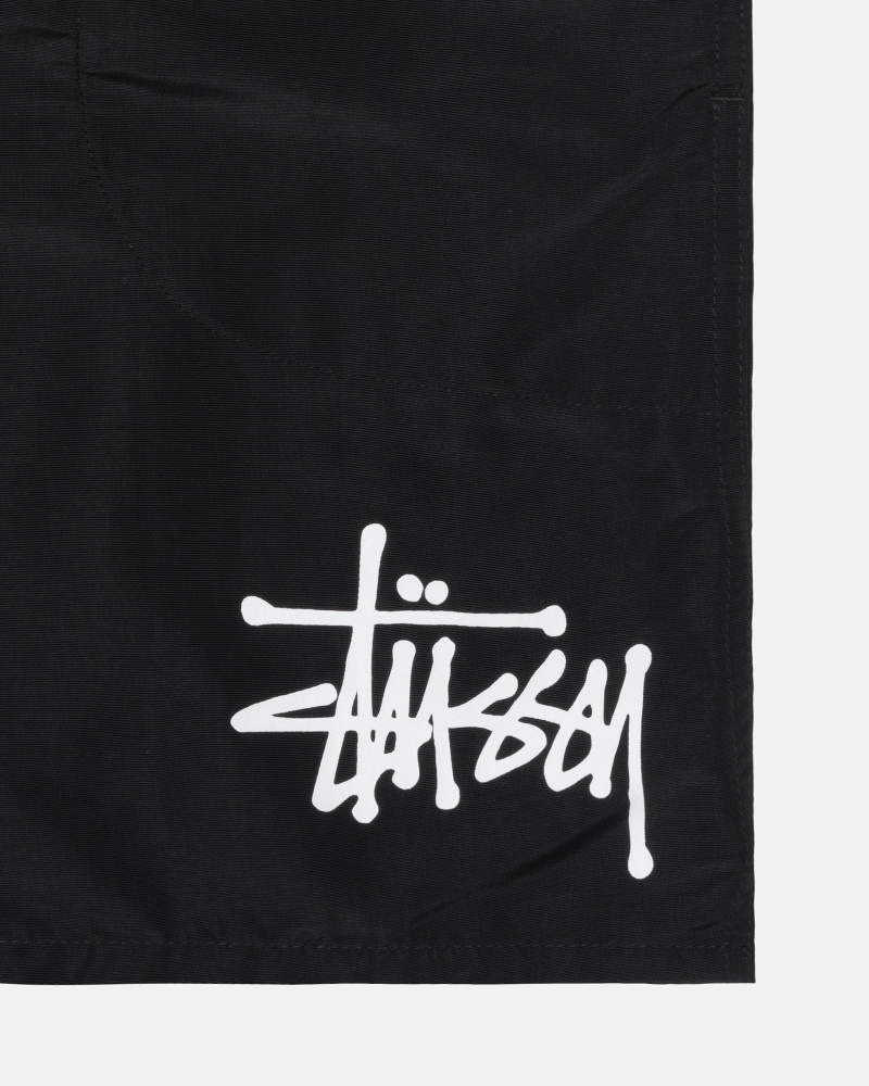 Black Men's Stussy Big Basic Shorts | CA0000621