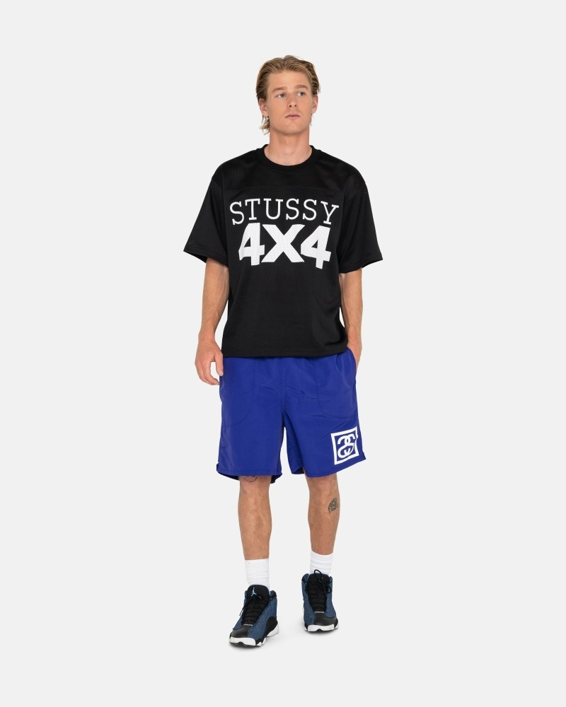 Blue Men's Stussy Ss-Link Shorts | CA0000685