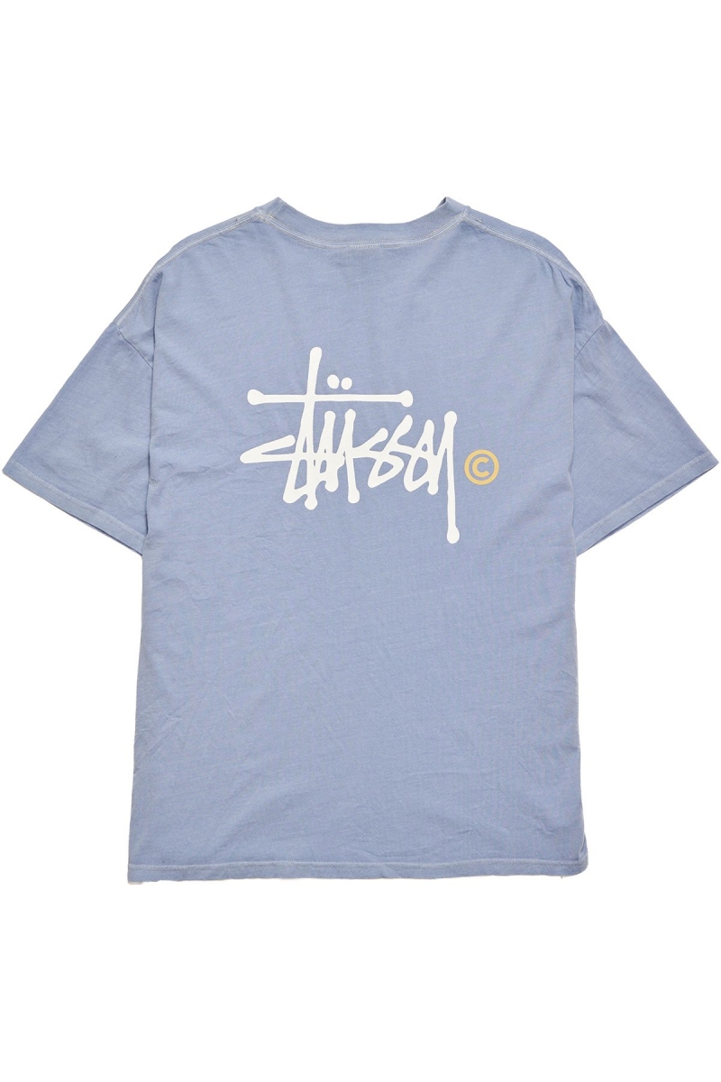 Blue Women's Stussy Graffiti T Shirts | CA0000192