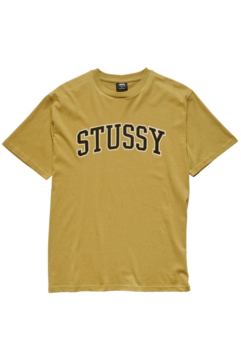 Brown Women\'s Stussy Collegiate BF T Shirts | CA0000133