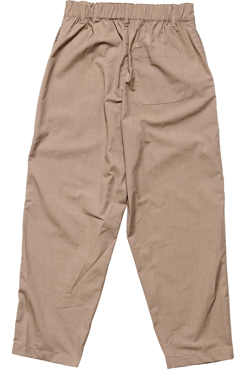 Brown Women's Stussy Sanford Pleated Trouser Pants | CA0000594