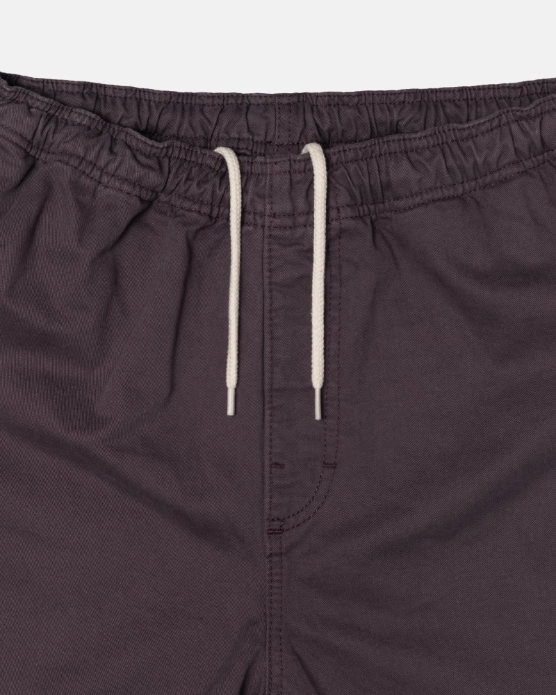 Burgundy Men's Stussy Brushed Shorts | CA0000637