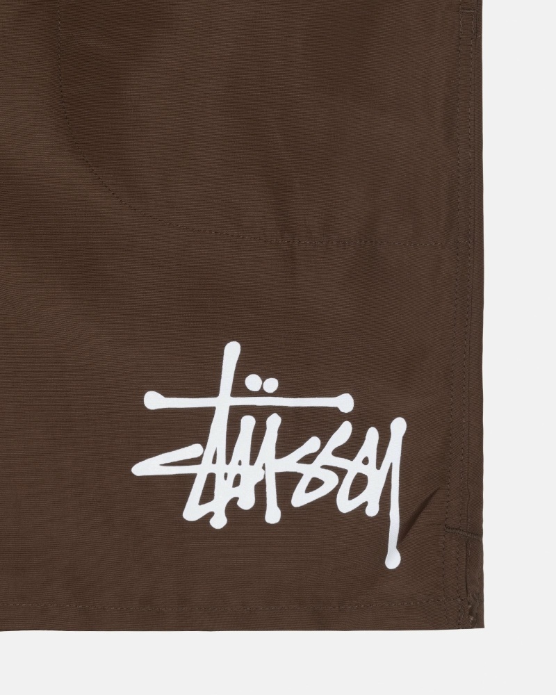 Coffee Men's Stussy Big Basic Shorts | CA0000620