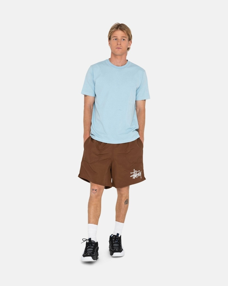 Coffee Men's Stussy Big Basic Shorts | CA0000620