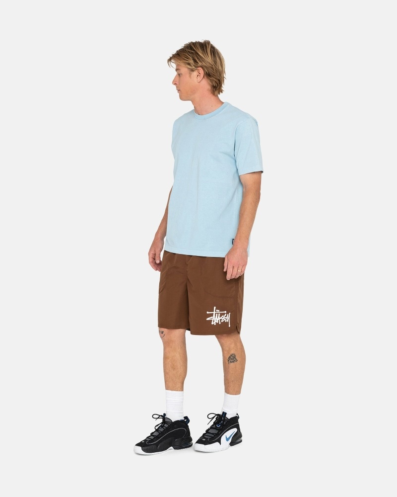 Coffee Men's Stussy Big Basic Shorts | CA0000620