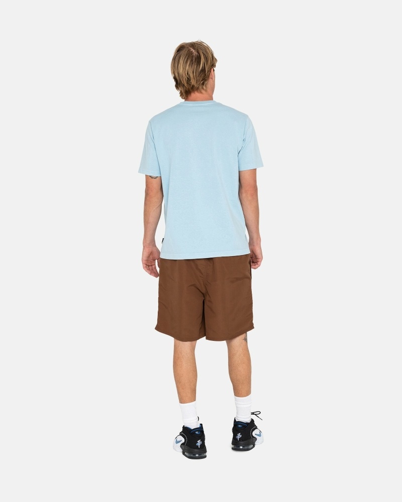 Coffee Men's Stussy Big Basic Shorts | CA0000620