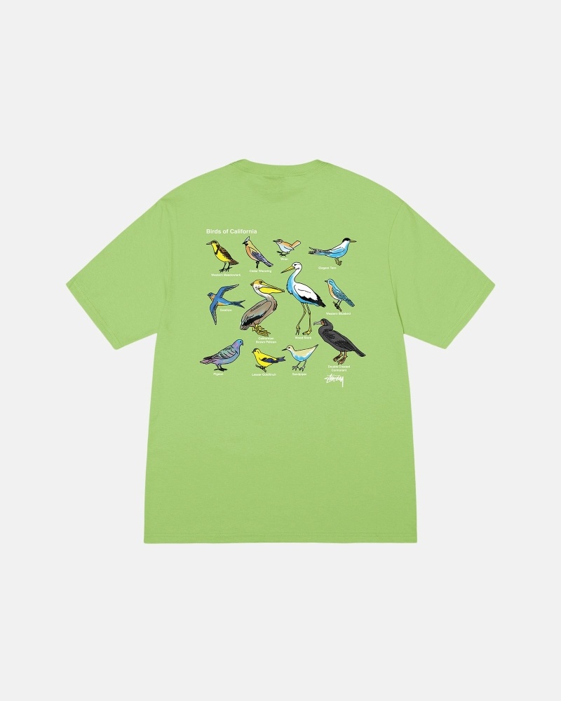 Green Men's Stussy California Birds T Shirts | CA0000118