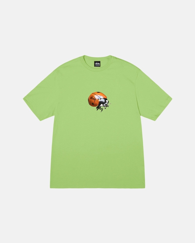 Green Men\'s Stussy Ladybug T Shirts | CA0000232