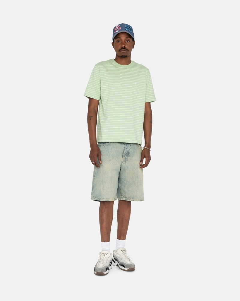 Green Men's Stussy Pin Striped Ss Crew T Shirts | CA0000254