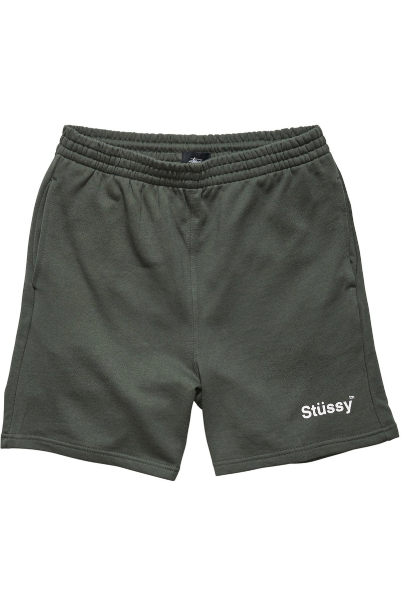 Green Men\'s Stussy Text Fleece Short Sportswear | CA0000792