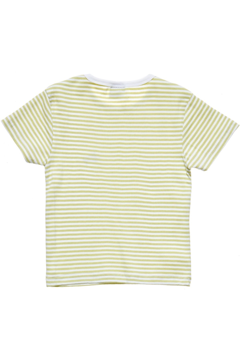 Green Women's Stussy Hyde Stripe Rib T Shirts | CA0000221