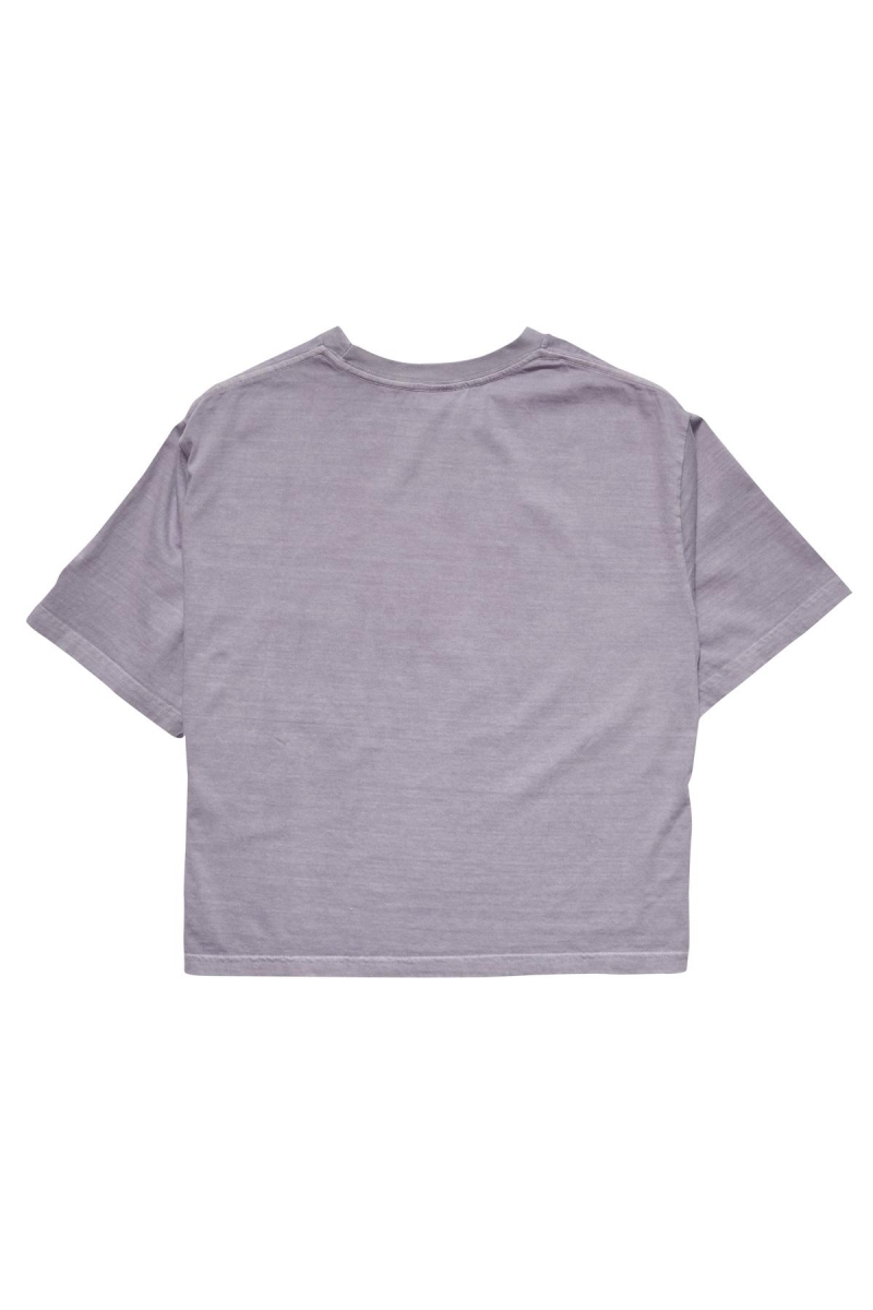 Grey Women's Stussy Text Waisted OS T Shirts | CA0000279