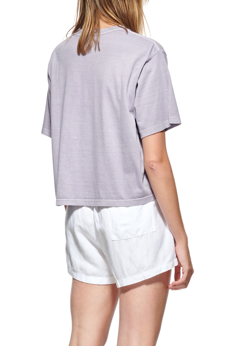 Grey Women's Stussy Text Waisted OS T Shirts | CA0000279