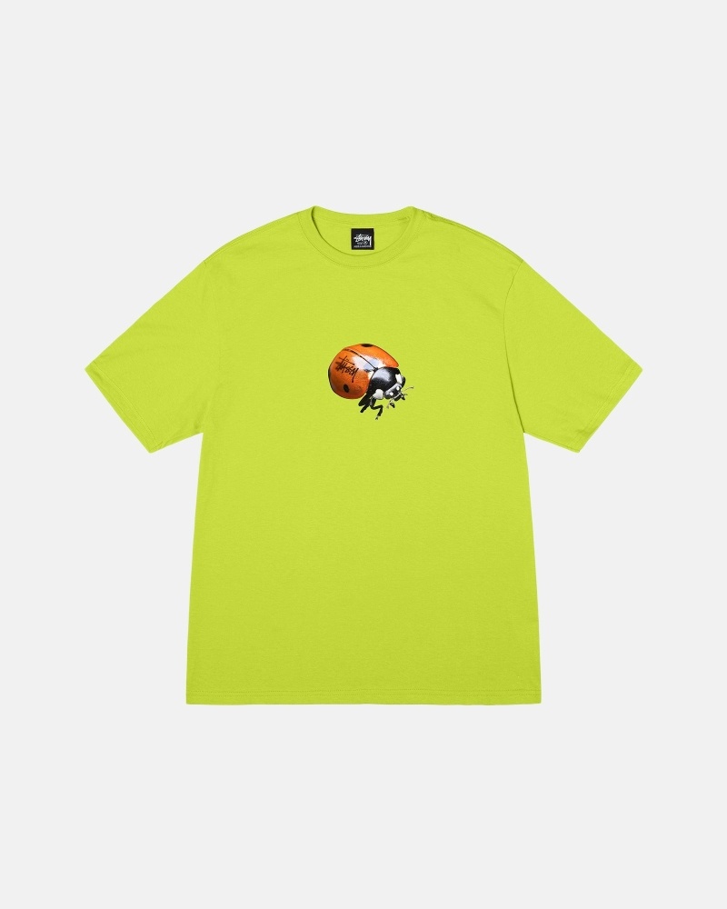 Light Green Men\'s Stussy Ladybug T Shirts | CA0000233