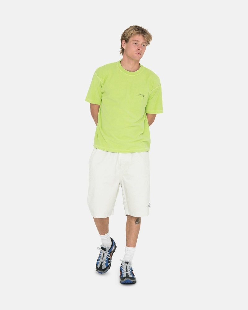 Light Green Men's Stussy Lazy T Shirts | CA0000242