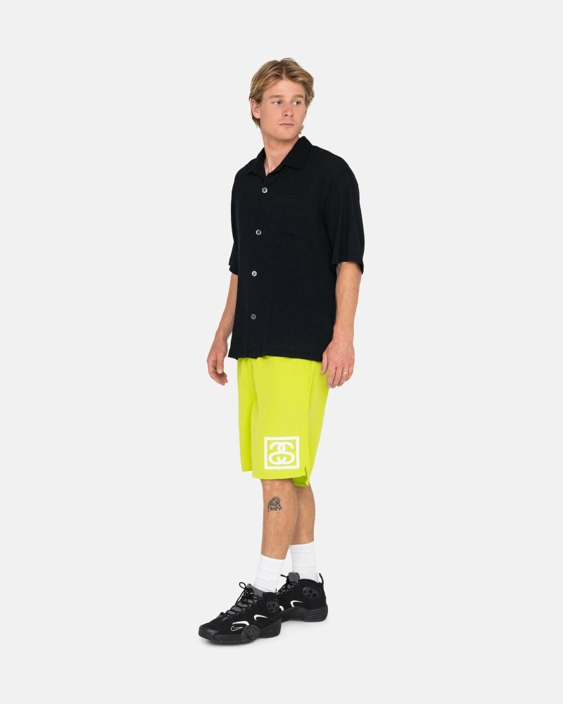 Light Green Men's Stussy Ss-Link Shorts | CA0000682