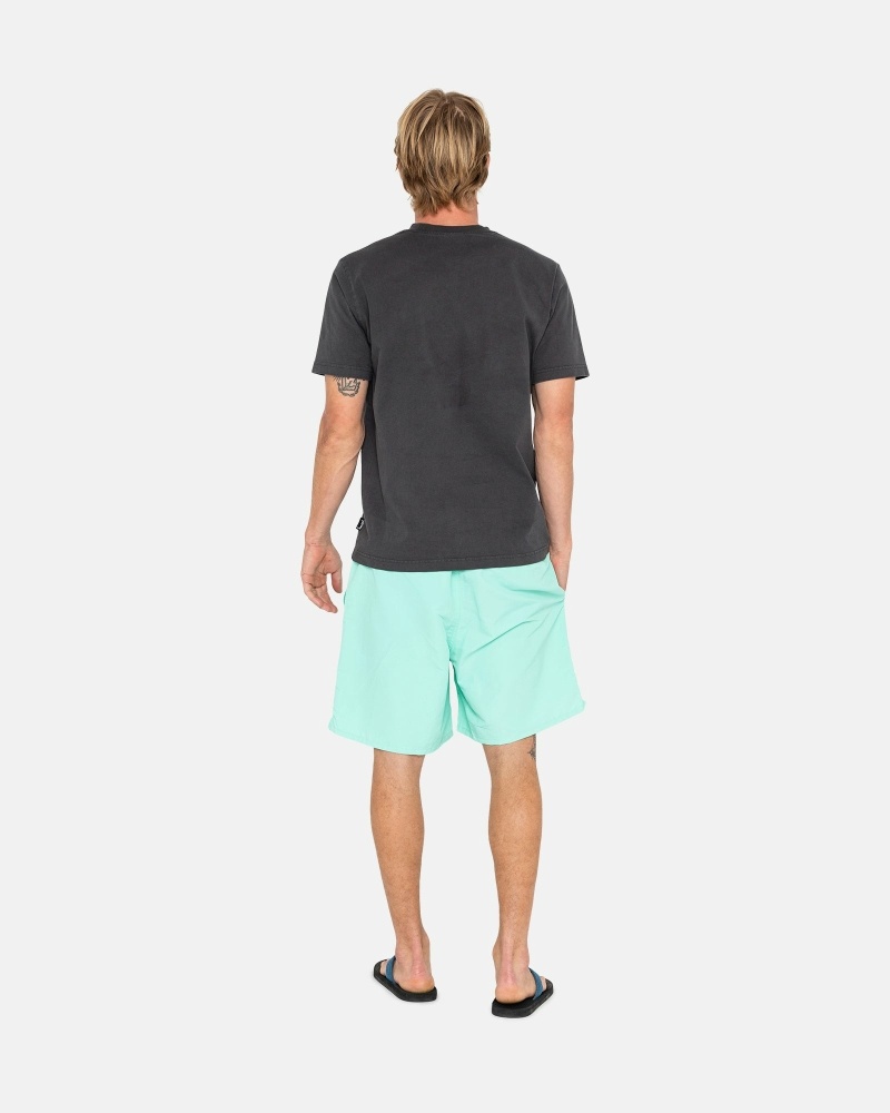 Light Turquoise Men's Stussy Stock Shorts | CA0000695