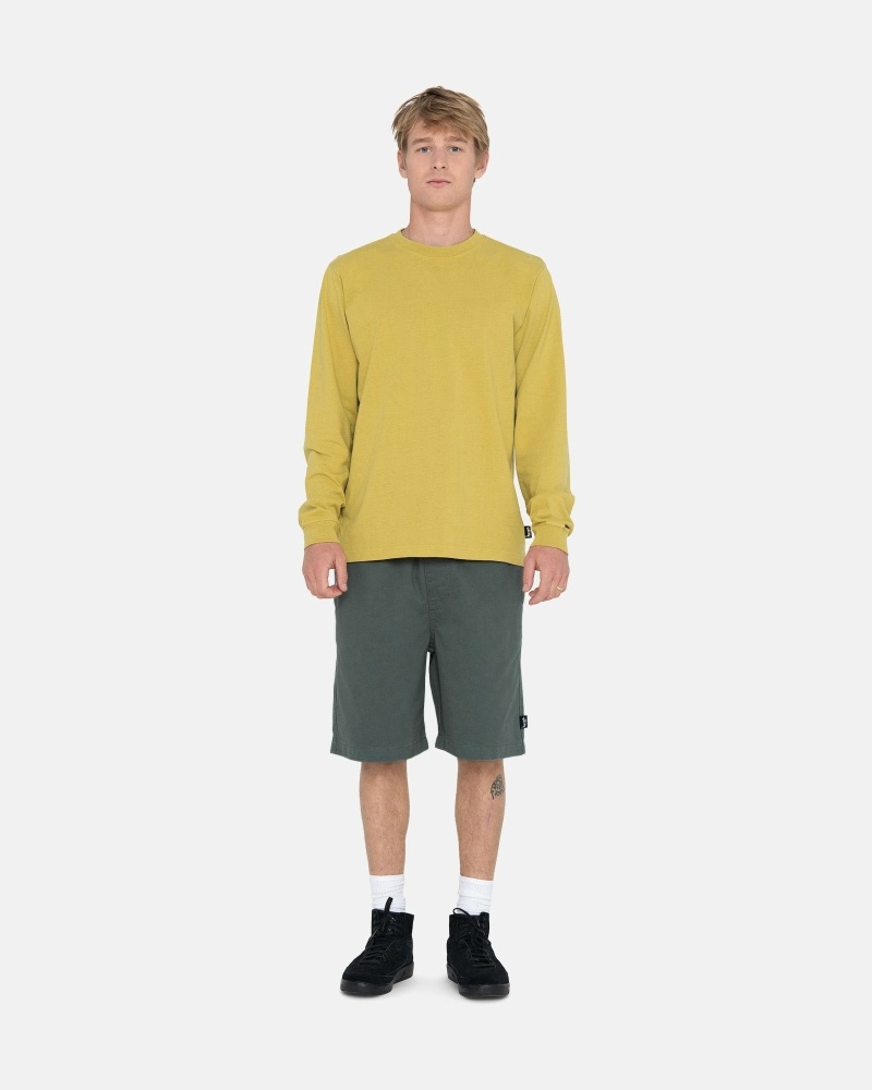 Olive Men's Stussy Brushed Shorts | CA0000631