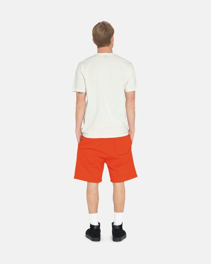 Orange Men's Stussy Overdyed Stock Logo Shorts | CA0000660