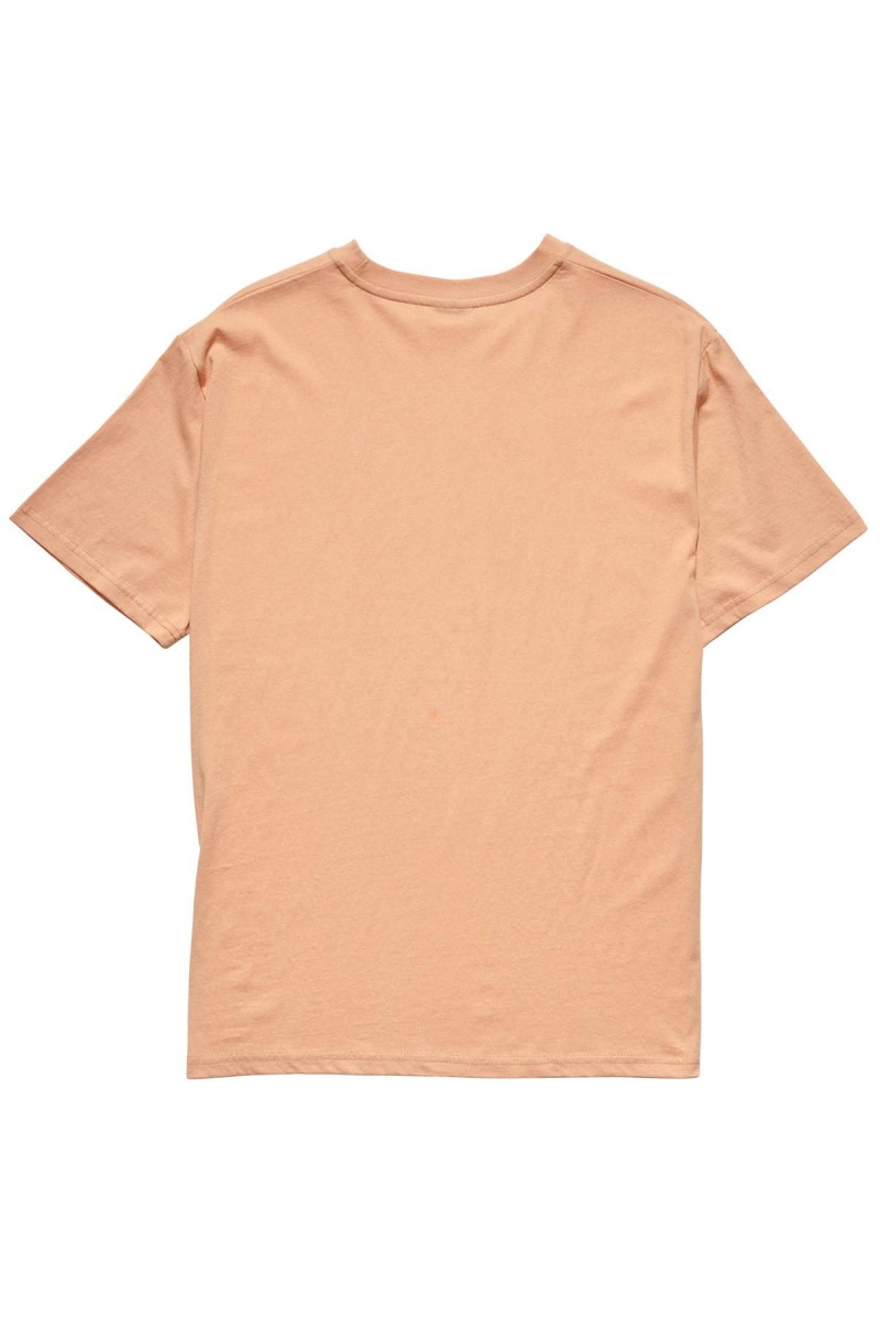 Orange Women's Stussy Collegiate BF T Shirts | CA0000132