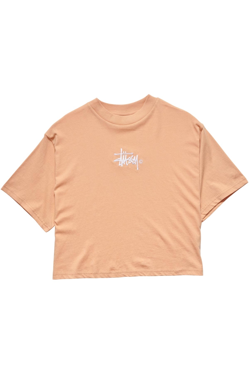 Orange Women\'s Stussy Graffiti Boxy T Shirts | CA0000174