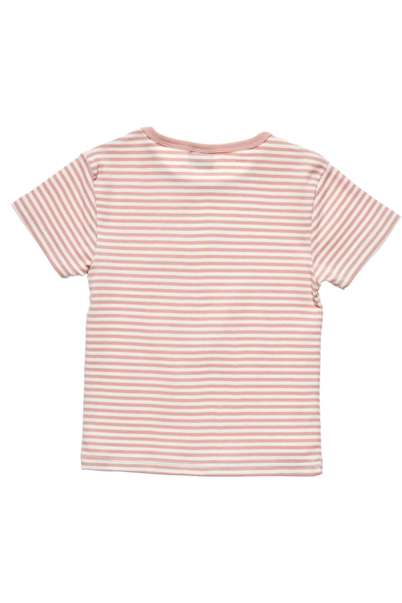 Pink Women's Stussy Hyde Stripe Rib T Shirts | CA0000222