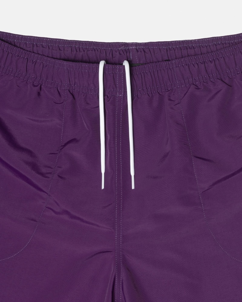 Purple Men's Stussy Big Basic Shorts | CA0000618