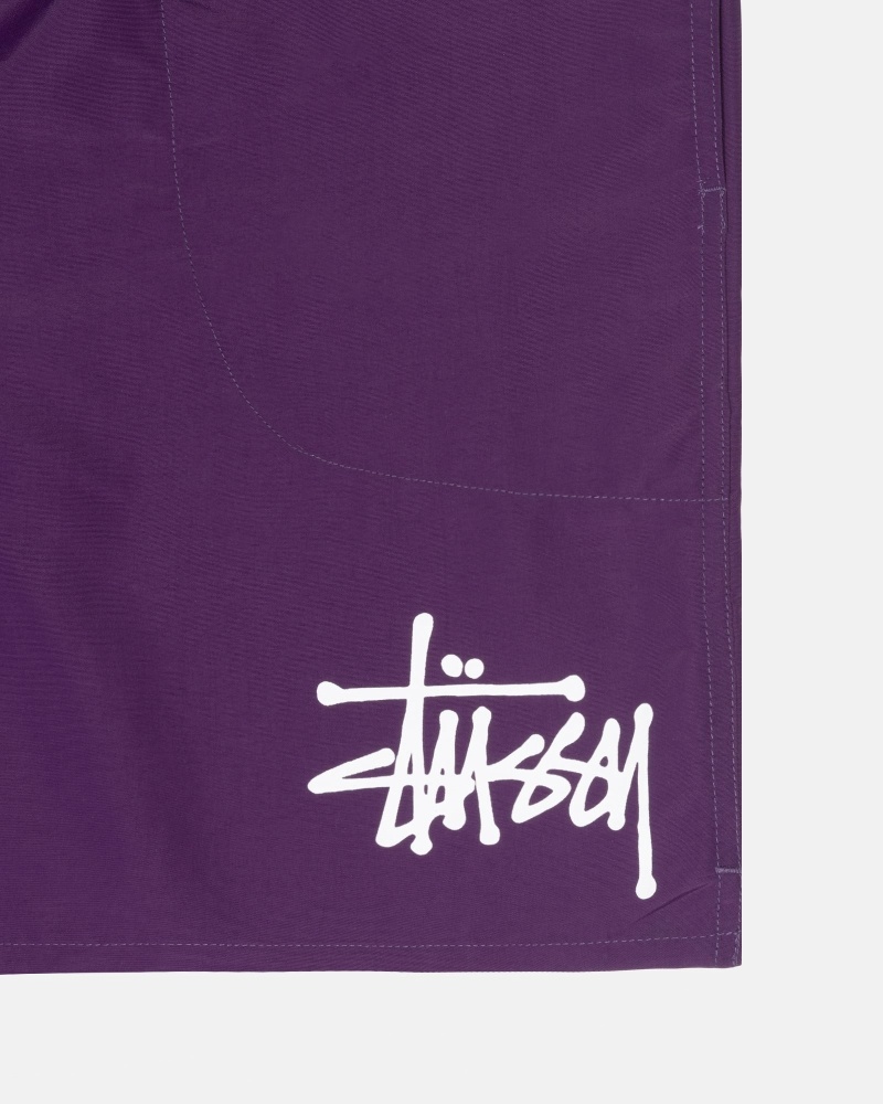 Purple Men's Stussy Big Basic Shorts | CA0000618