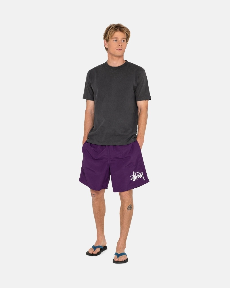 Purple Men's Stussy Big Basic Shorts | CA0000618