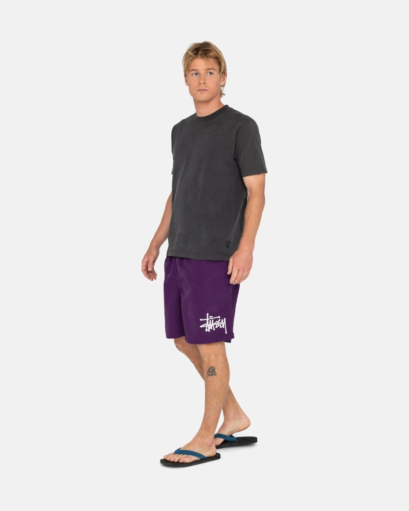 Purple Men's Stussy Big Basic Shorts | CA0000618