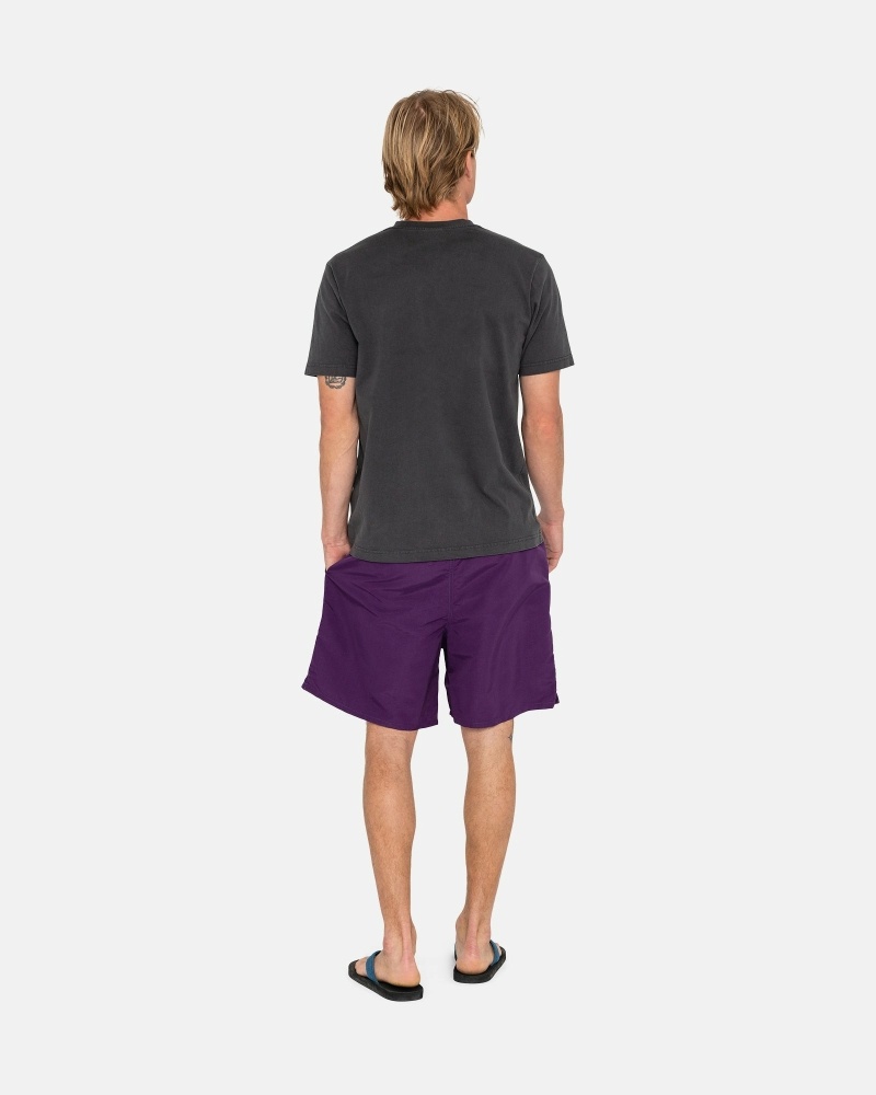 Purple Men's Stussy Big Basic Shorts | CA0000618