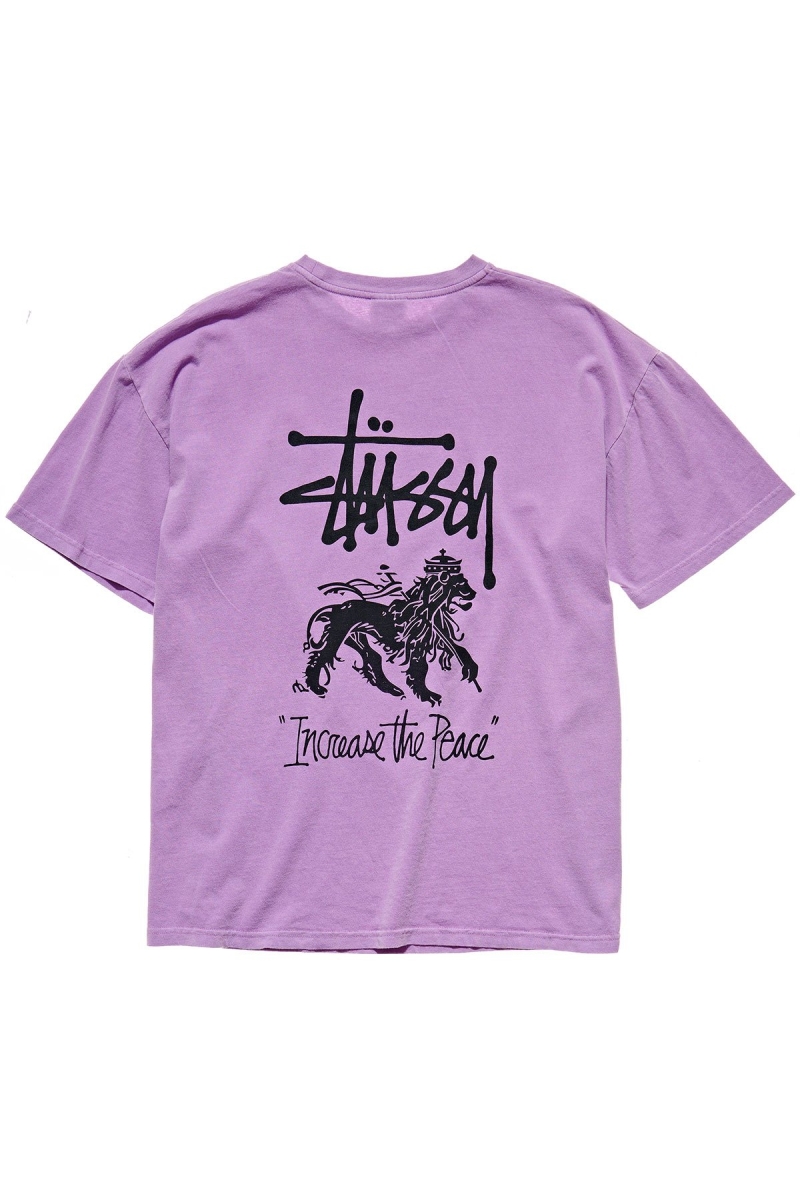 Red Women's Stussy Regal Relaxed T Shirts | CA0000258