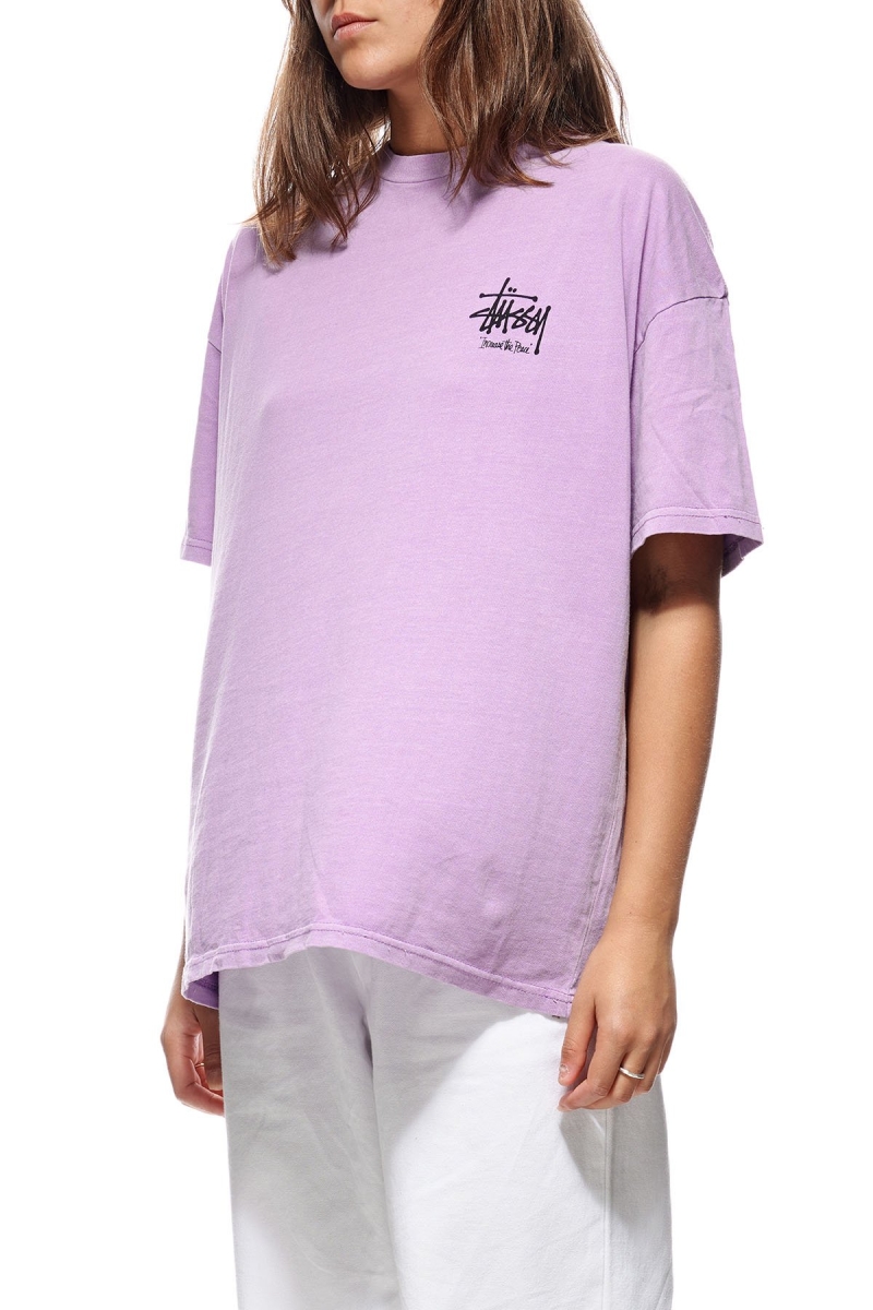 Red Women's Stussy Regal Relaxed T Shirts | CA0000258