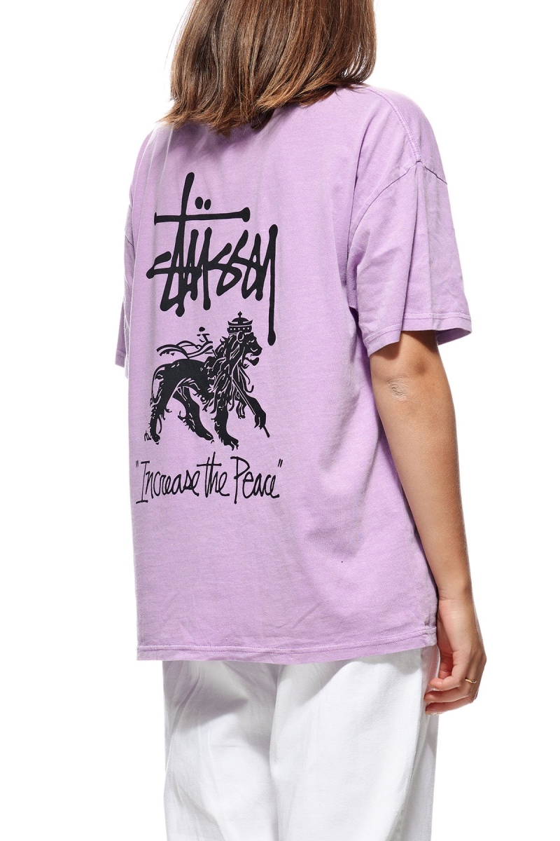 Red Women's Stussy Regal Relaxed T Shirts | CA0000258