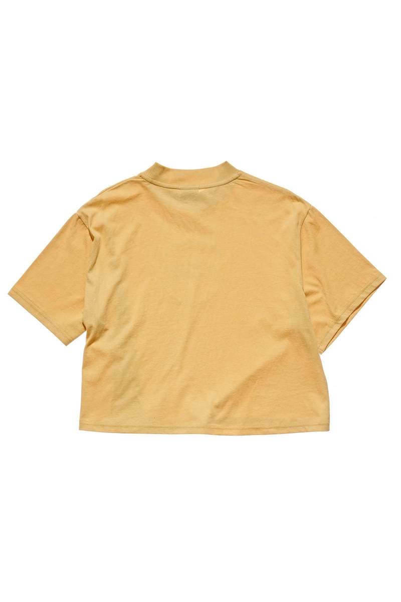 Yellow Women's Stussy Laguna Boxy T Shirts | CA0000235