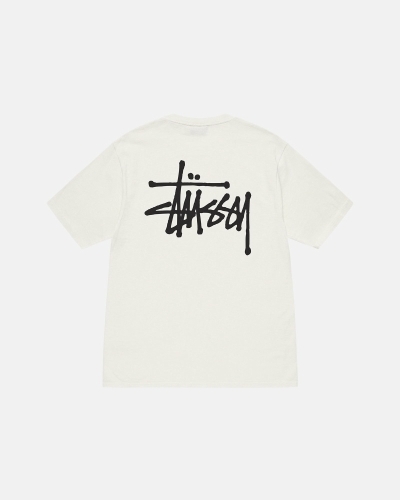 Beige Men's Stussy Basic Pigment Dyed T Shirts | CA0000105