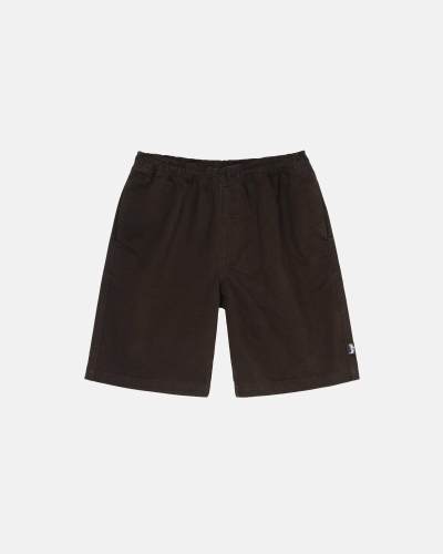 Brown Men's Stussy Brushed Shorts | CA0000634