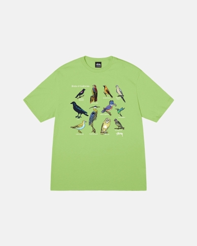 Green Men's Stussy California Birds T Shirts | CA0000118