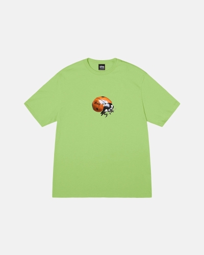 Green Men's Stussy Ladybug T Shirts | CA0000232