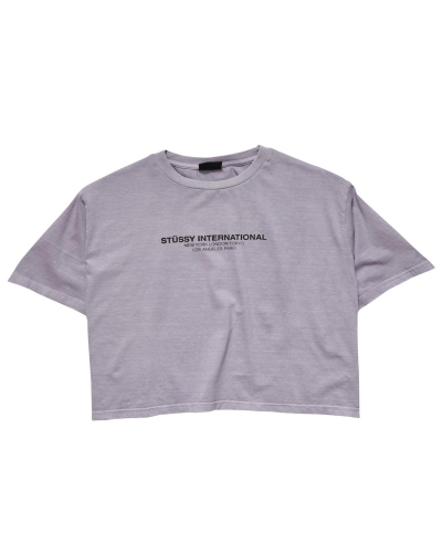 Grey Women's Stussy Text Waisted OS T Shirts | CA0000279