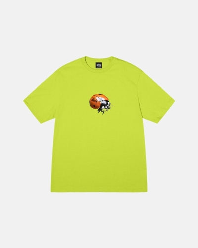 Light Green Men's Stussy Ladybug T Shirts | CA0000233