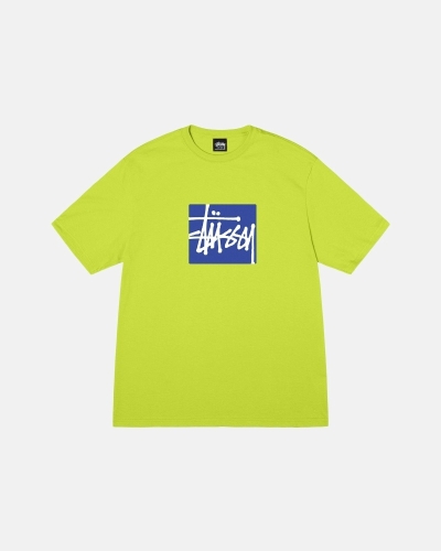 Light Green Men's Stussy Stock Box T Shirts | CA0000272