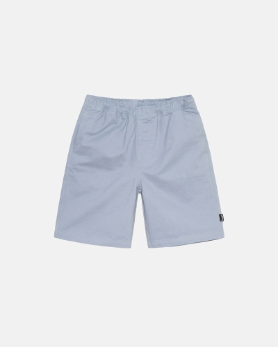 Silver Men's Stussy Brushed Shorts | CA0000635